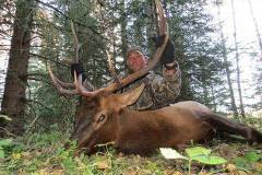 elk_orig