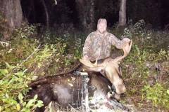 moose7_orig