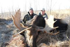 moose_orig