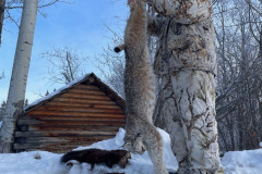 image000000