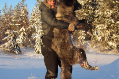 besswolf